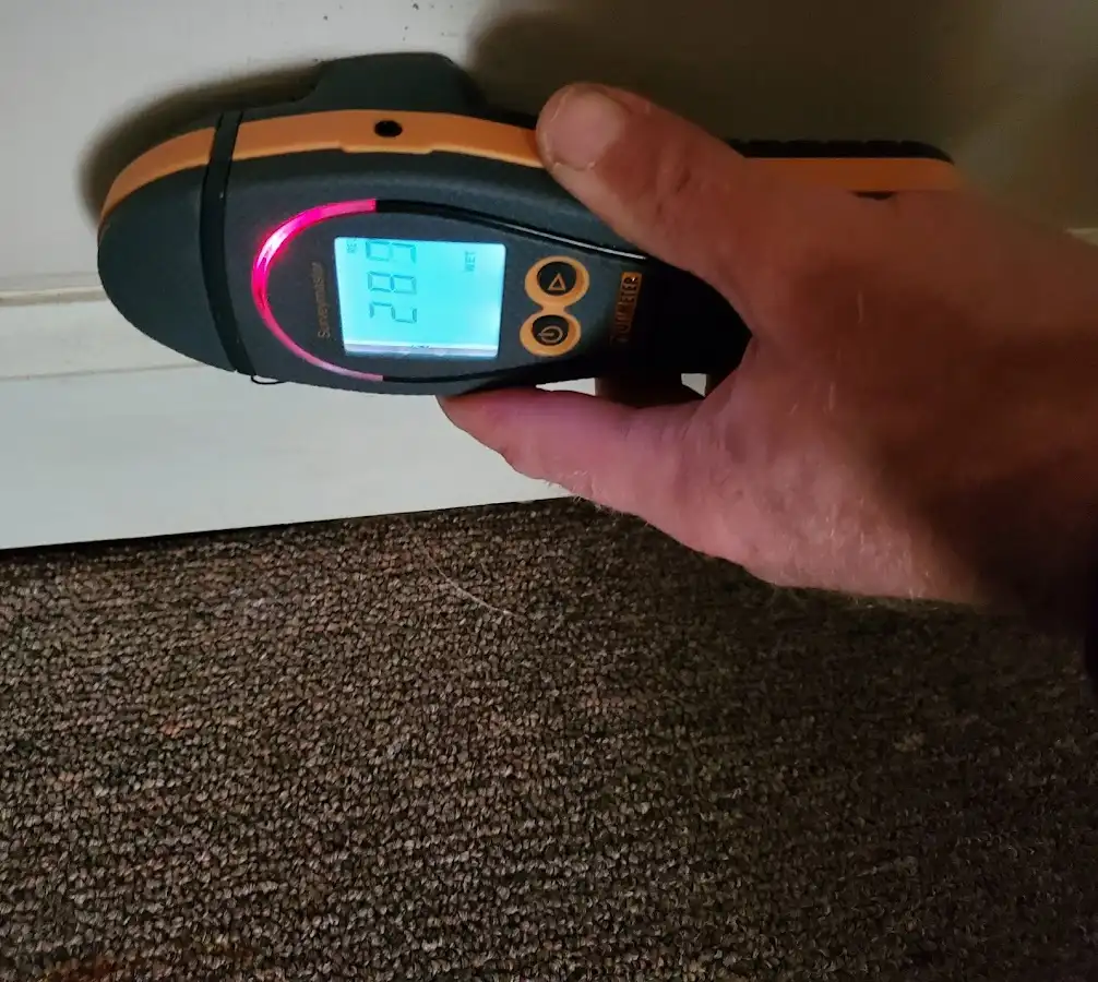 Moisture detection at baseboard during Mold Inspection & Testing in Cleburne